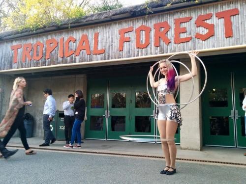 Circus Hooper