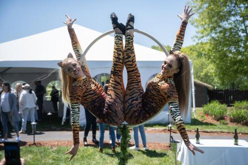 Lollipop lyra aerialists Boston