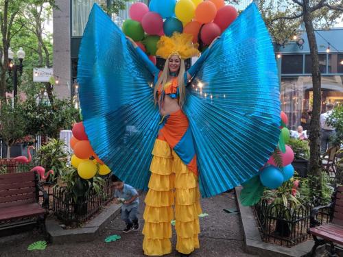 tropical-stilt-walker